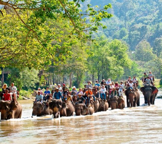 Mae Taeng Elephant Camp