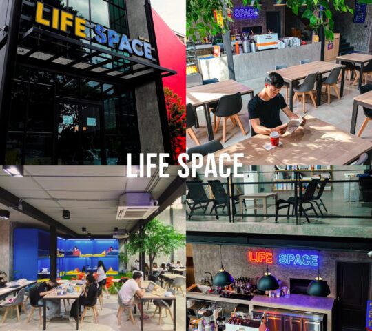 Life Space