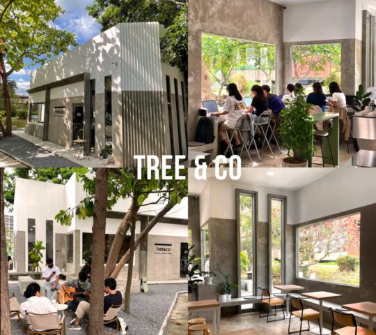 Tree & co